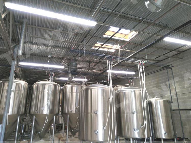 fermentation cellar